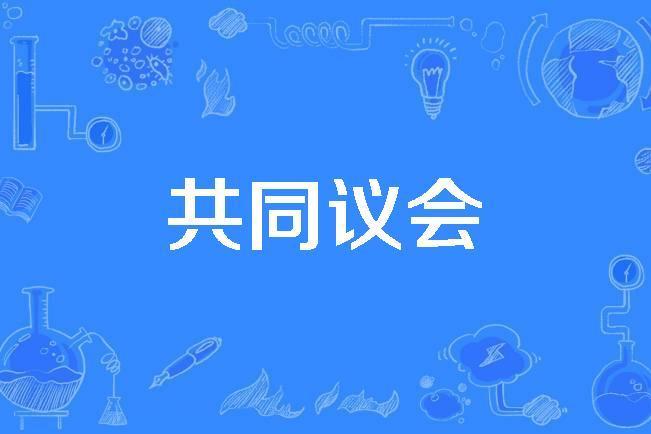 共同議會 共同議會