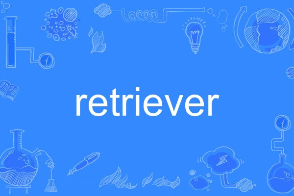 Retriever Retriever