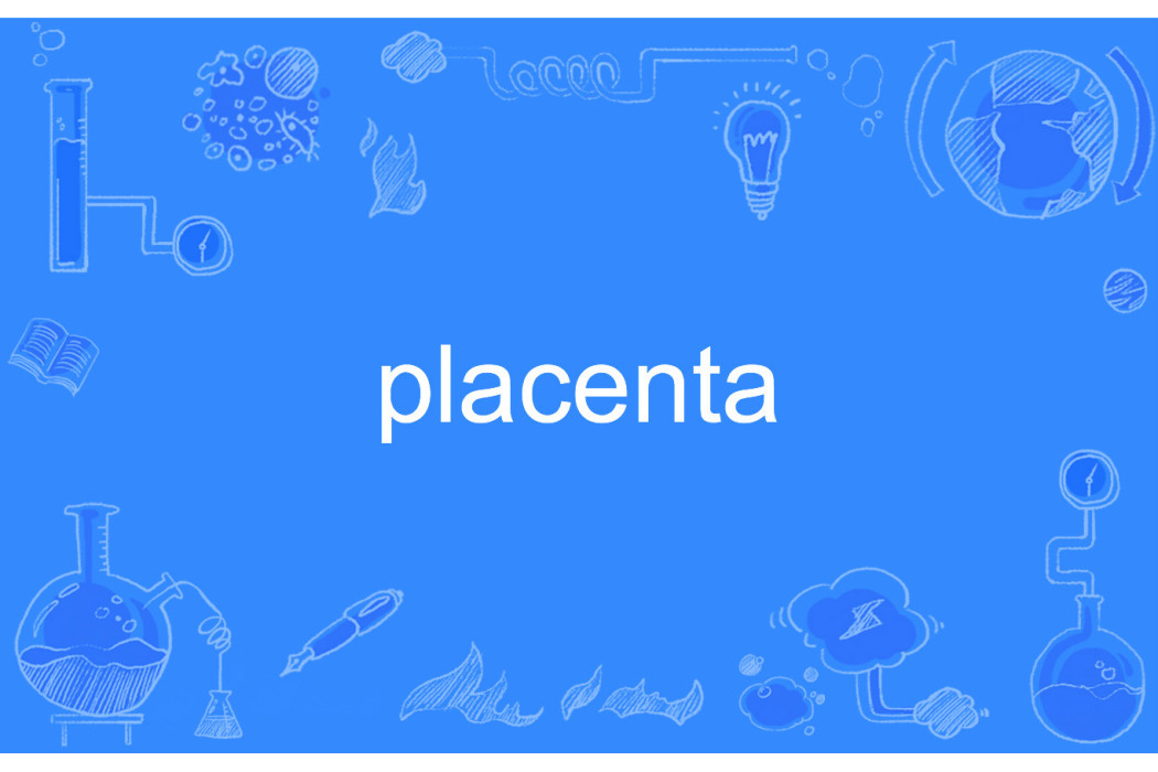 placenta placenta