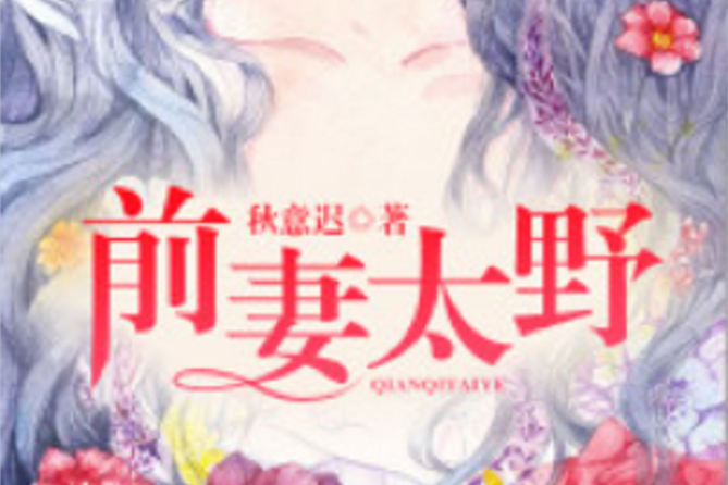 前妻太野