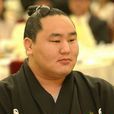 朝青龍 朝青龍