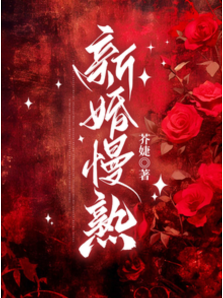 新婚慢熟(芥婕所著作品)