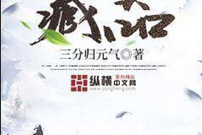 藏器(三分歸元氣所著小說) 藏器(三分歸元氣所著小說)