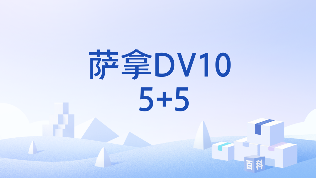 薩拿DV10 5+5