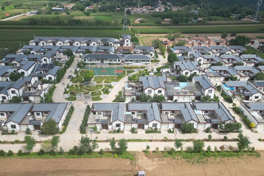 乾槐樹村