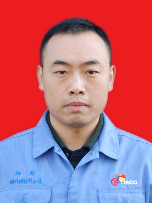 楊晗(太原鋼鐵集團山西鋼科碳材料有限公司生產工藝部負責人) 楊晗(太原鋼鐵集團山西鋼科碳材料有限公司生產工藝部負責人)