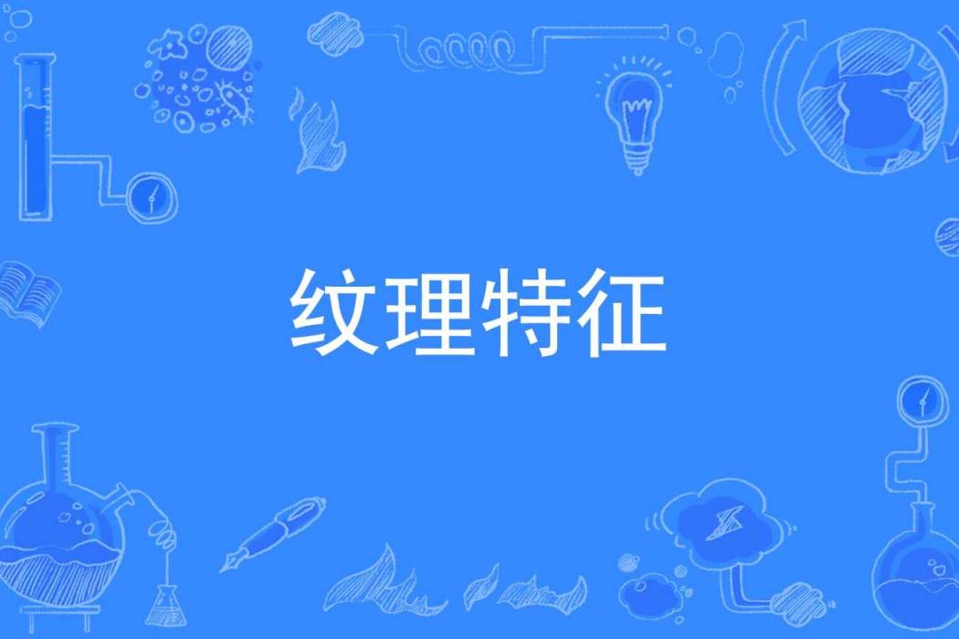 紋理特徵 紋理特徵
