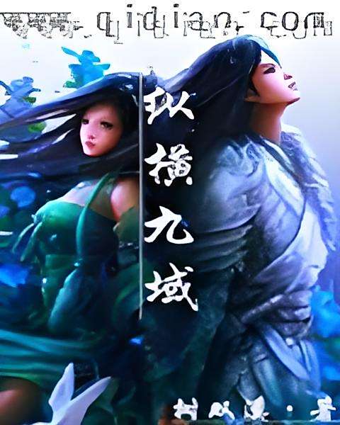 縱橫九域 縱橫九域