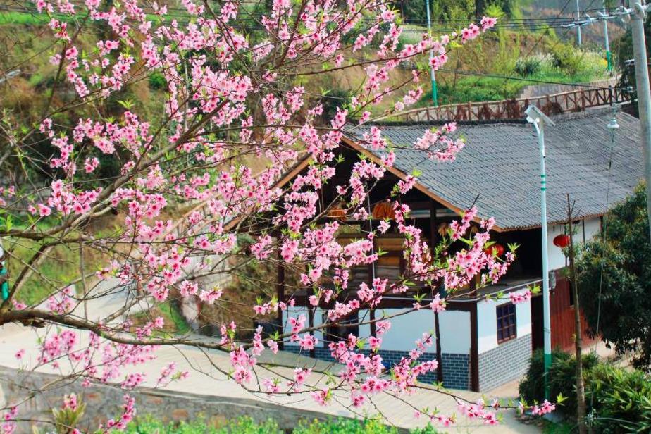苗寨村(貴州省開陽縣南江鄉苗寨村) 苗寨村(貴州省開陽縣南江鄉苗寨村)