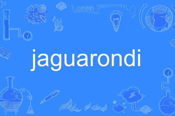 jaguarondi jaguarondi
