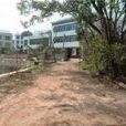 秦圩村(江蘇沭陽縣沂濤鎮下轄村) 秦圩村(江蘇沭陽縣沂濤鎮下轄村)