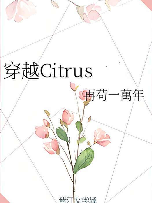穿越Citrus 穿越Citrus