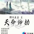 天命神劫 天命神劫