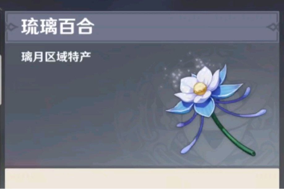 琉璃百合 琉璃百合