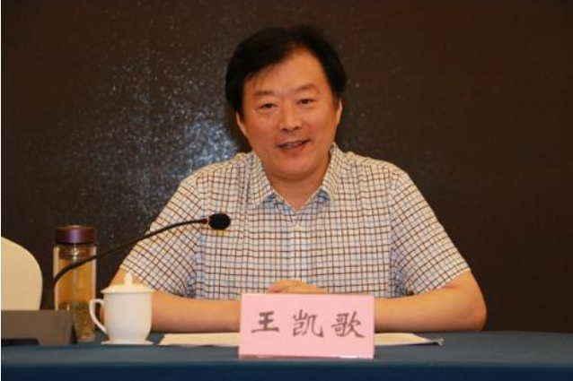 王凱歌(河南大學藝術學院教師) 王凱歌(河南大學藝術學院教師)