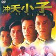 沖天小子(1989年林俊賢主演香港電影) 沖天小子(1989年林俊賢主演香港電影)