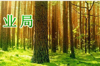 寧鄉縣林業局 寧鄉縣林業局