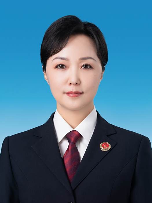 李琳琳(黑龍江省哈爾濱市道里區人民檢察院黨組成員、副檢察長、三級高級檢察官) 李琳琳(黑龍江省哈爾濱市道里區人民檢察院黨組成員、副檢察長、三級高級檢察官)