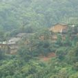 假依山村 假依山村