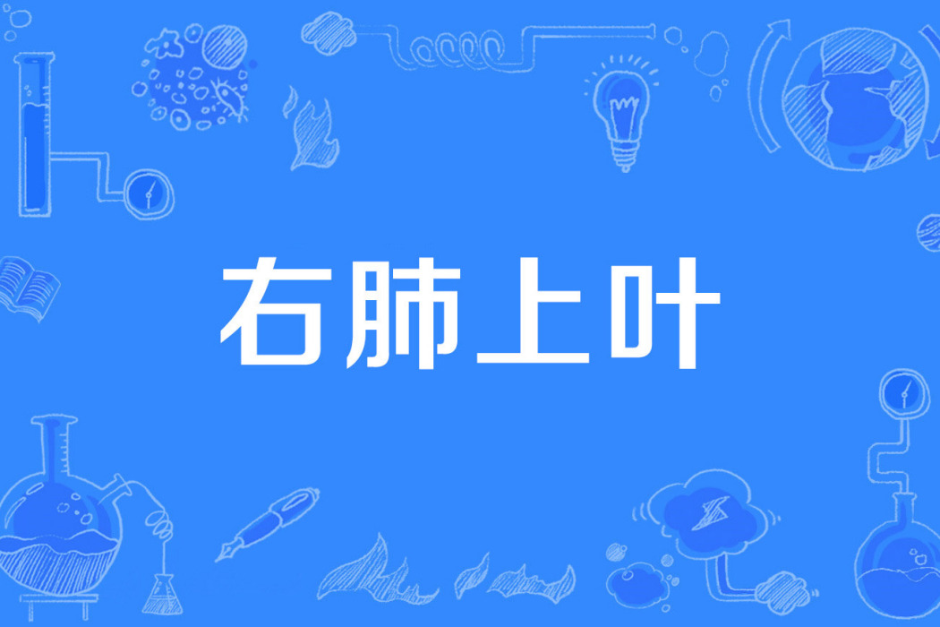 右肺上葉 右肺上葉