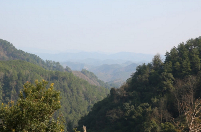 湖南靖州國家森林公園