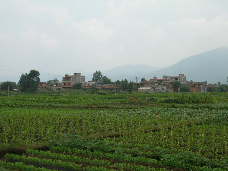 矣草村 矣草村
