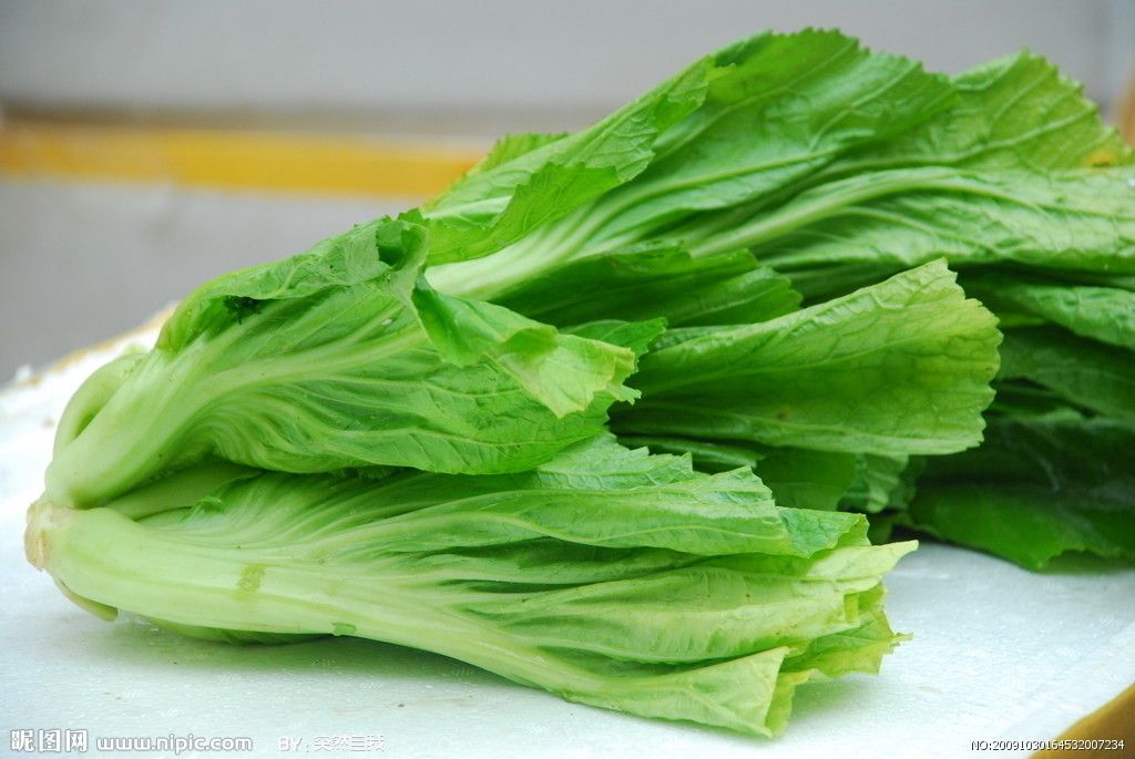 績溪芥菜 績溪芥菜