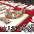 龍埡遺址 龍埡遺址