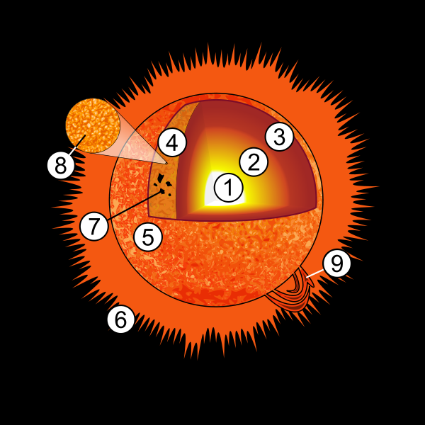 太陽結構顯示出光球的米粒斑