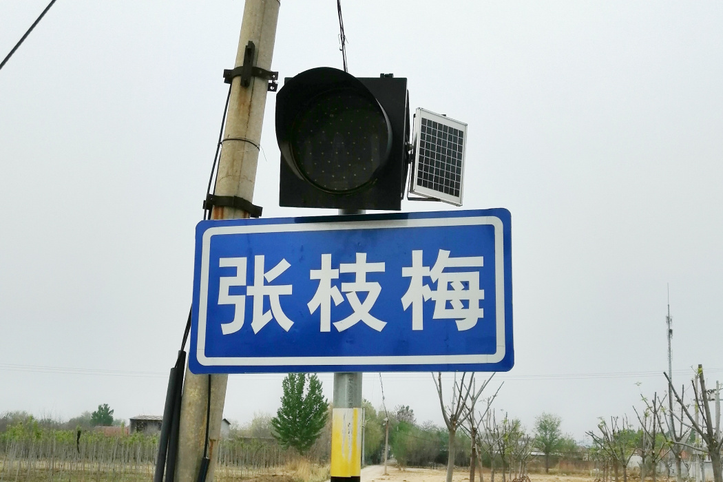張枝梅村 張枝梅村