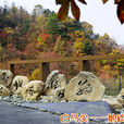 都枝杜鵑 都枝杜鵑