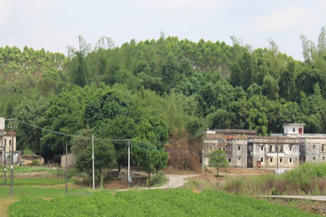 長安里(廣東省江門市開平市赤坎鎮紅溪村下轄自然村) 長安里(廣東省江門市開平市赤坎鎮紅溪村下轄自然村)