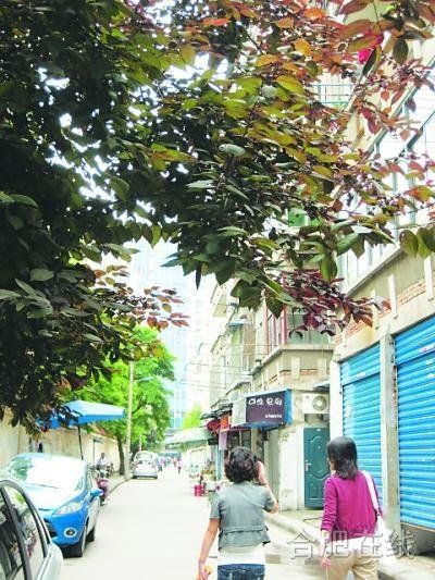 操兵巷 操兵巷