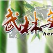武林英雄(2008年發行的網頁遊戲)