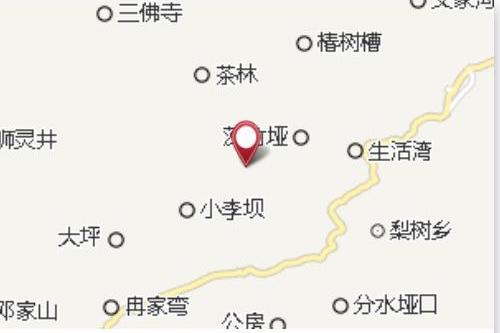龍頭大隊 龍頭大隊