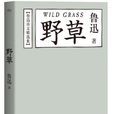 野草(魯迅創作散文詩集)