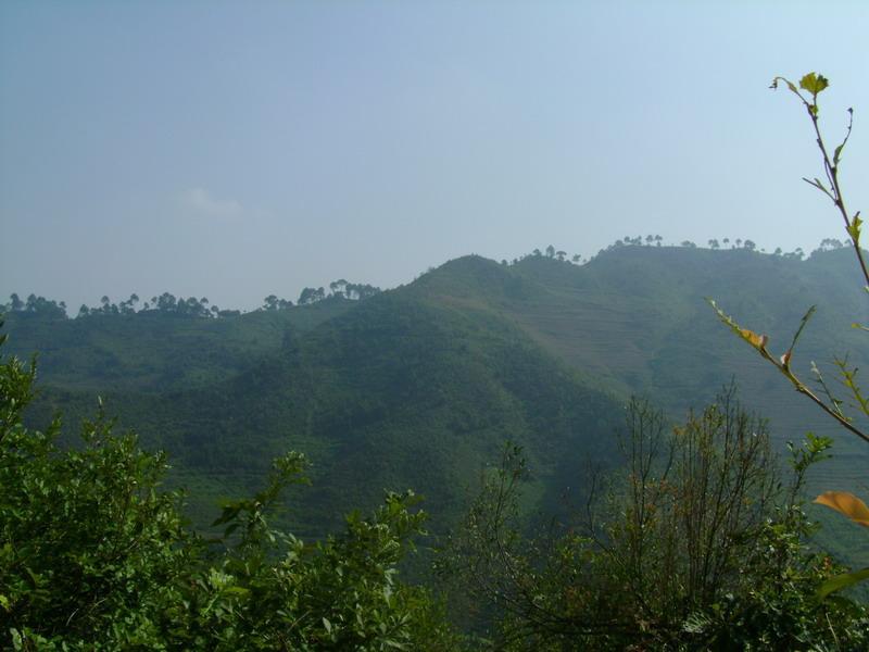 陸良村 陸良村