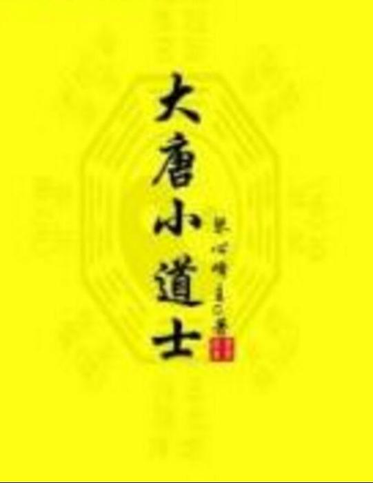 大唐小道士(琴心峰主著網路小說) 大唐小道士(琴心峰主著網路小說)