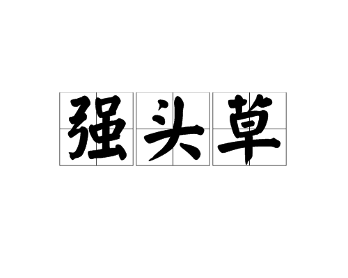 強頭草 強頭草