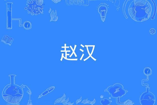 趙漢(兩漢之際政權) 趙漢(兩漢之際政權)