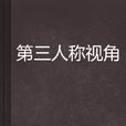 第三人稱視角 第三人稱視角