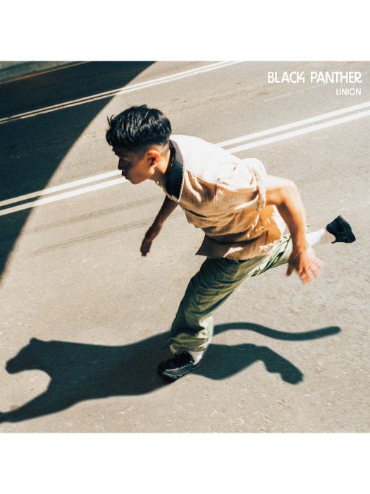 Black Panther(LINION演唱的歌曲) Black Panther(LINION演唱的歌曲)
