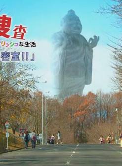 宮內瞳 宮內瞳
