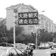 最萌指示牌 最萌指示牌