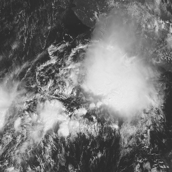 熱帶風暴羅莎 衛星雲圖