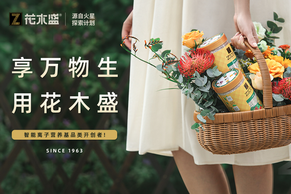 花木盛 花木盛