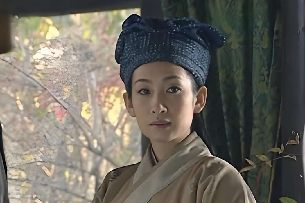 羅綺(古裝劇《東方朔》中的角色,由秦海璐飾演) 羅綺(古裝劇《東方朔》中的角色,由秦海璐飾演)
