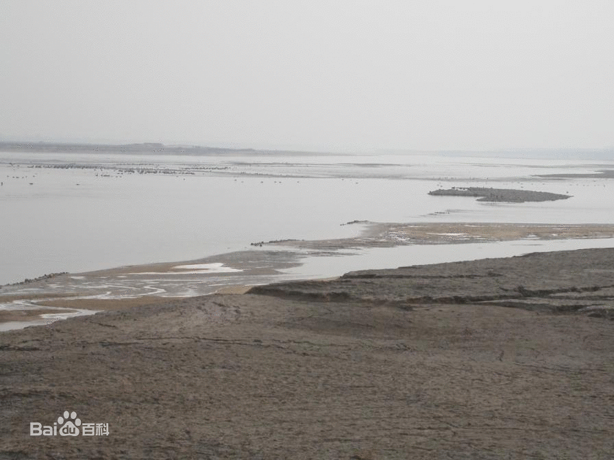 河南黃河濕地國家級自然保護區