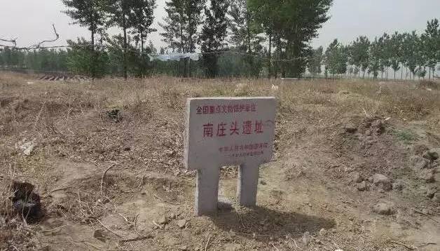 南莊頭遺址