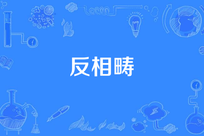 反相疇 反相疇